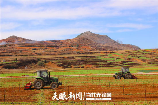 毕节市威宁县草海镇中海社区的5000亩蔬菜基地。为保障今春蔬菜种植用地,数台耕地机正来回轰鸣翻耕土地。(李岗 摄)