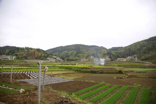 久长镇双堡村一派繁忙景象