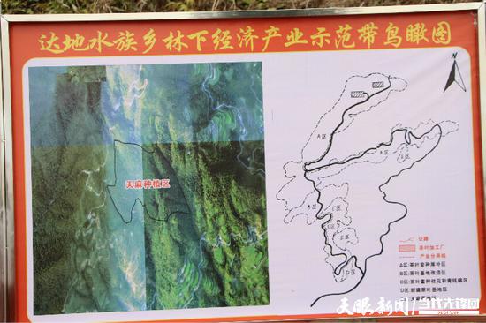 天麻种植基地示范图