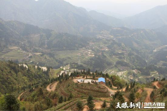 达地水族乡的天麻种植基地