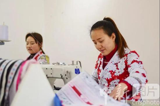 杨文丽在工作。唐哲 摄