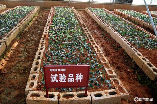 玉屏县人口_玉屏县图片(3)