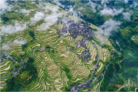 雷公山开屯梯田