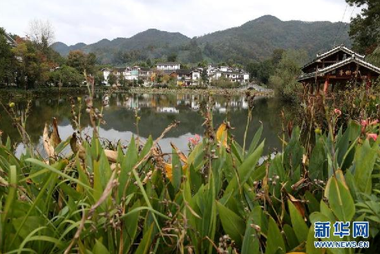 11月19日拍摄的遵义市湄潭县兴隆镇龙凤村村景。借助生态优势,当地居民有了可持续增收的产业,也有了更加优美宜居的环境。新华社记者 谢秀栋 摄