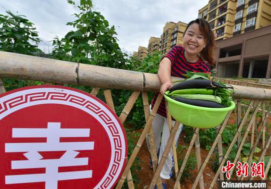 易地扶贫搬迁群众采摘瓜果蔬菜。 龙元彬 摄