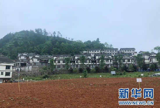 这是贵州省玉屏侗族自治县新店镇丙溪易地扶贫搬迁安置点的“微菜园”(5月14日摄)。新华社记者 李凡 摄