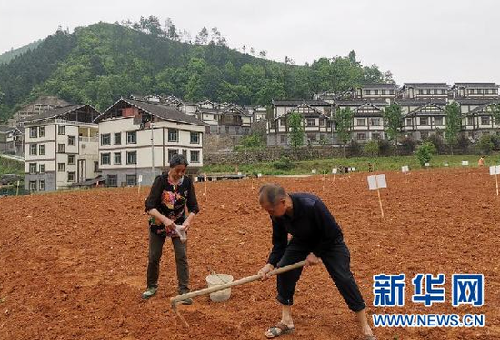 在贵州省玉屏侗族自治县新店镇丙溪易地扶贫搬迁安置点,搬迁户在“微菜园”里播种(5月14日摄)。新华社记者 汪军 摄