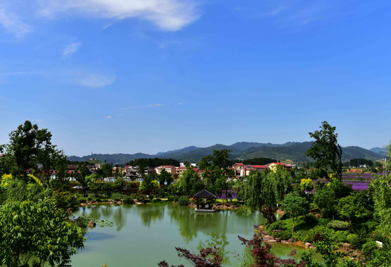 2020端午旅游排名_2020端午旅游数据新鲜出炉和“五一”对比沉默了