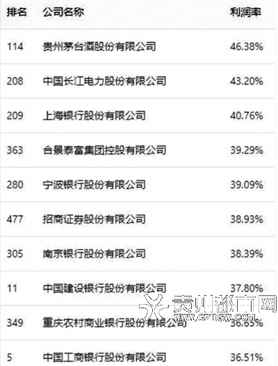 利润率最高的10家企业