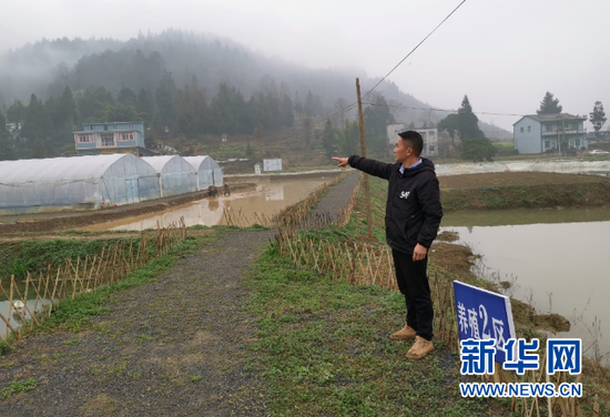 烟雾缭绕的小龙虾基地。新华社记者汪军摄