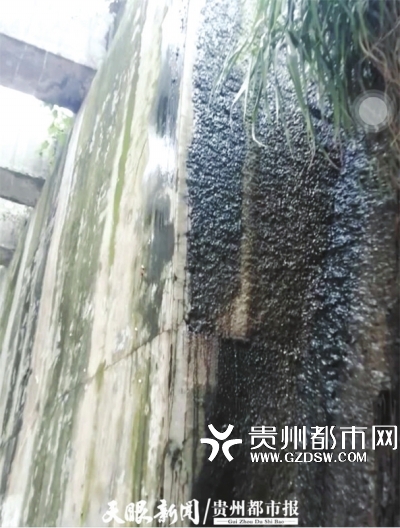 长期流水导致出现大面积青苔