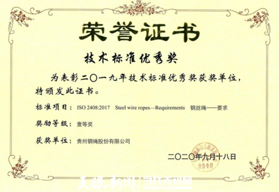 钢丝绳排行_公司钢丝绳产品获得“百城千业万企对标达标”标志