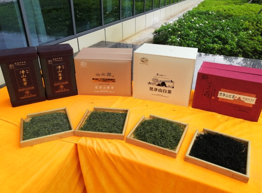 梵净山茶是这样的茶_新浪贵州_新浪网