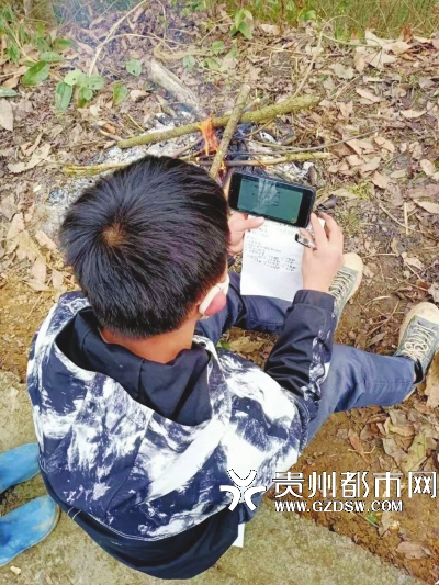 王朝勇爬到山顶,用手机收看网课。