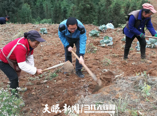 水城县勺米镇多少人口_水城县米箩镇倮么村