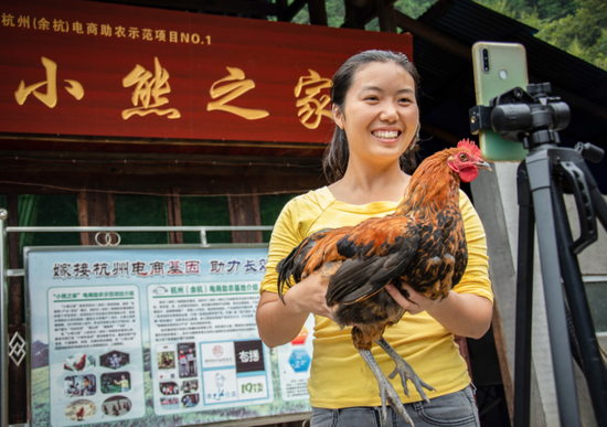 在杭州(余杭)电商助农示范项目——小熊之家,熊英正在直播间里推销她的“马拉松鸡”。吴国雄 摄