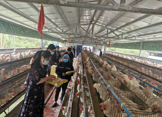 记者正在采访饲养员