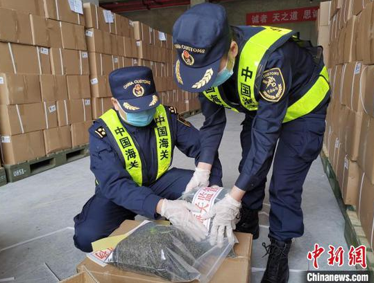 图为贵阳海关监管出口茶叶。贵阳海关供图