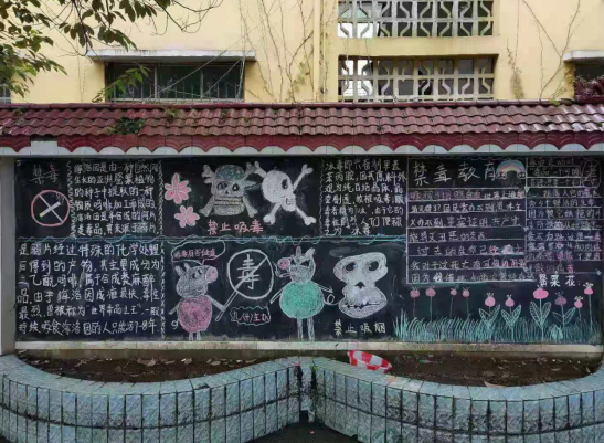 不一样的寒假 让紫云禁毒宣传来守护