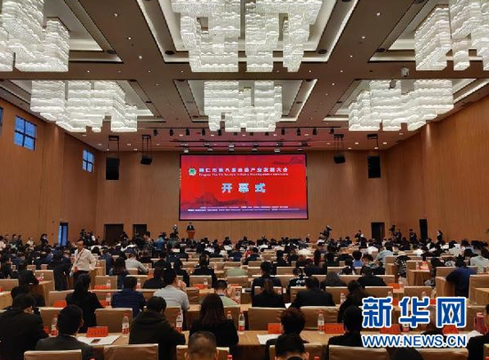 铜仁市第八届旅游产业发展大会开幕式现场。新华社记者 崔晓强 摄