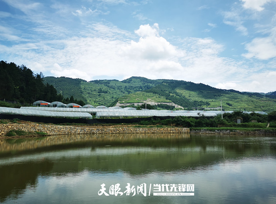 镰刀湾葡萄基地风景秀丽