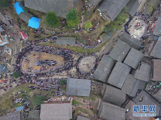 (王炳真 摄)
