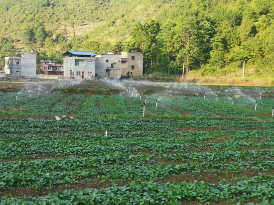 (牛场坡蔬菜基地)