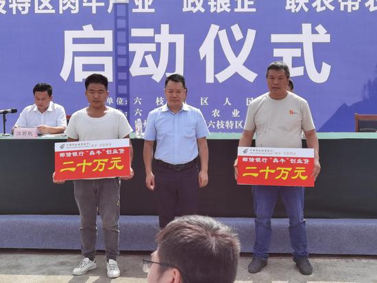 6月18日,六枝特区肉牛产业"政银企"联农带农项目在六枝特区岩脚镇草原