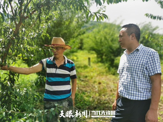 联合社区村民向吴世渊介绍今年的李子销售情况
