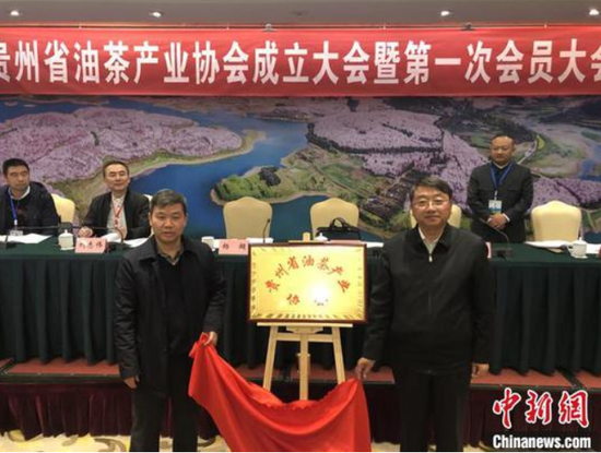 图为油茶产业协会成立大会现场。 张伟 摄
