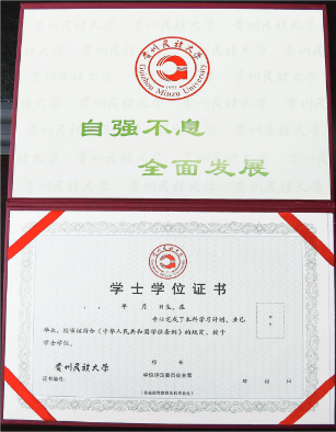 新浪网