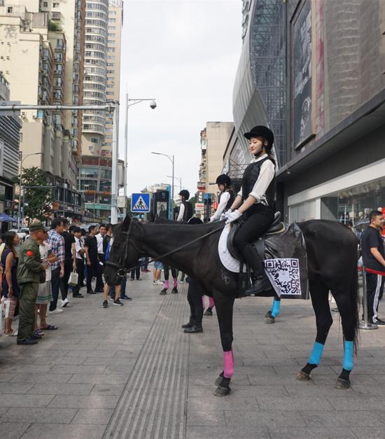 美女骑马溜达 一群人围观“拍马屁”