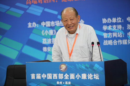 中国社科院当代城乡发展规划院院长付崇兰