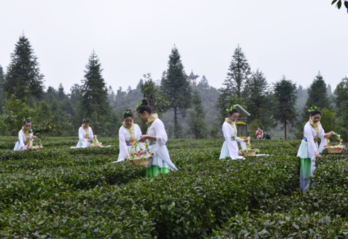 仙女采茶