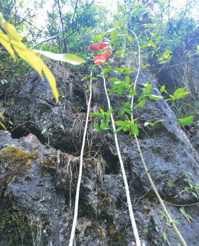消防救援