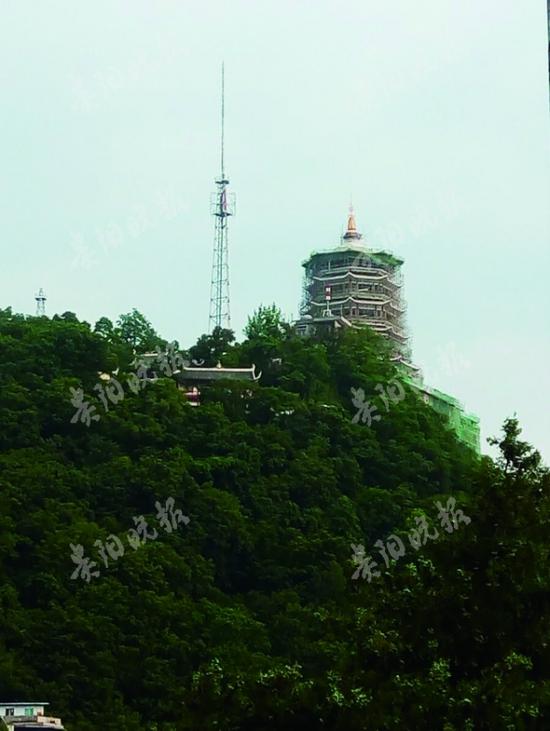 远望东山寺,藏经阁隐藏在一片树林中