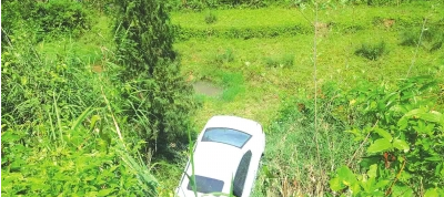 公路下面的灌木托住轿车。