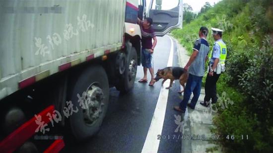 男子高速路上停车追狗