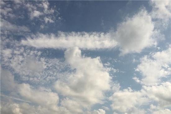 毛毛虫、飞龙、大螃蟹……多云天气里的“动物世界”(杨春竹 摄)