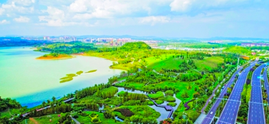 绿意盎然的月亮湖公园。