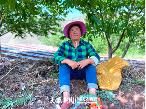 参与尤加利种植的村民张秀花正在田间休息