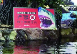 事发水族馆。