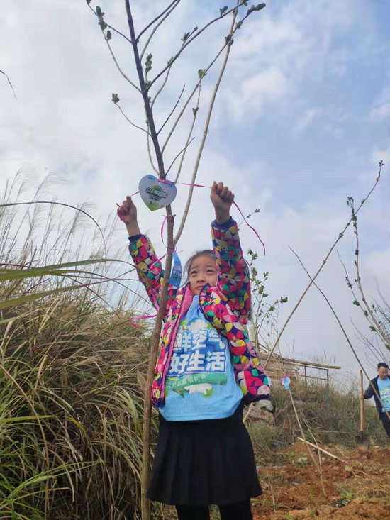 植树现场