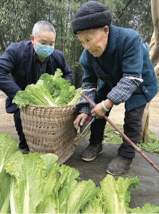 捐菜的任达明老人