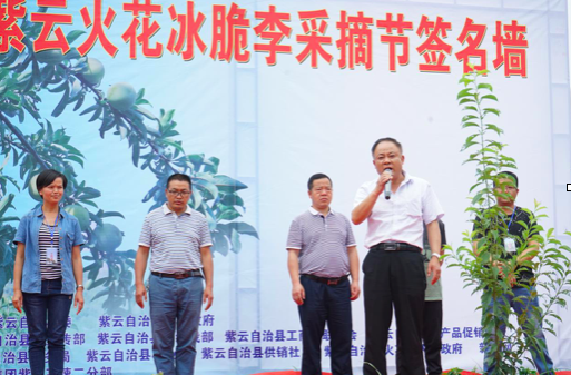 紫云自治县人大主任吴方群宣布活动开始