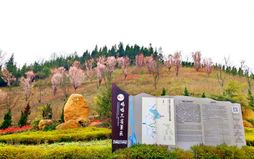 鸡鸣三省红色旅游景区春暖花开。(鸡鸣三省红色旅游景区供图)