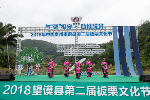 洛郎村布依女子舞蹈采摘板栗