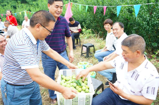 紫云县委常委 宣传部部长彭传刚亲自推介火花冰脆李,邀请游客品尝