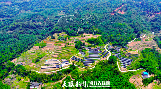 两汇水村茶树菇、金钗石斛苗圃基地