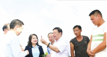 曹德旺考察辣椒种植基地。 武敏 摄